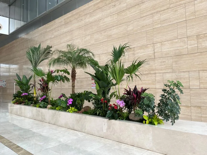 镇海花木租摆，开启让环境瞬间焕发生机的奇妙之旅